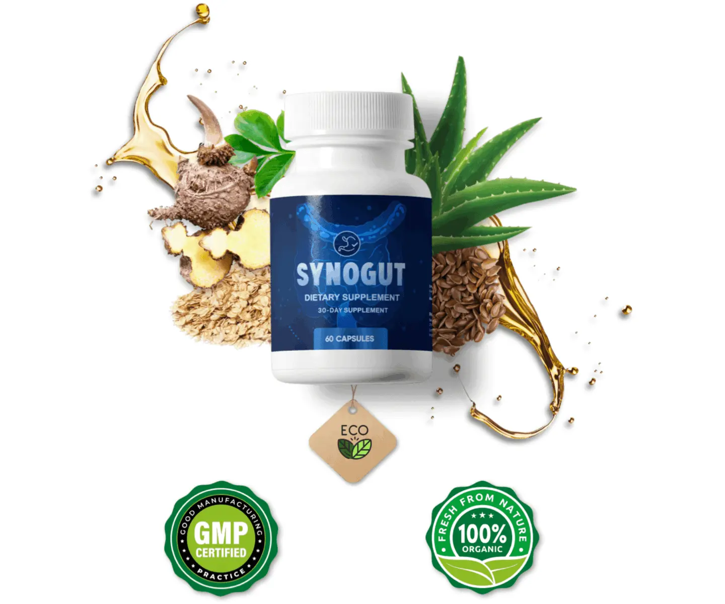 synogut