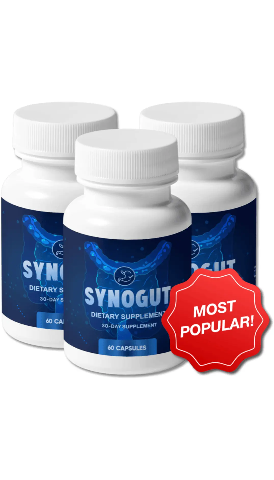 synogut supplement